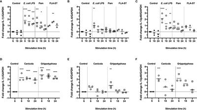 Activation of Canine, Mouse and Human TLR2 and TLR4 by Inactivated Leptospira Vaccine Strains